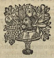 Picture 8 of 30 from L'Oeconomie chirurgicale, pour le r'habillement des os du corps humain contenant l'ostéologie, la nososreologie, l'apocatastosteologie, & le Traitté des bandages (1671), leaf 206