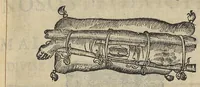 Picture 11 of 30 from L'Oeconomie chirurgicale, pour le r'habillement des os du corps humain contenant l'ostéologie, la nososreologie, l'apocatastosteologie, & le Traitté des bandages (1671), leaf 241