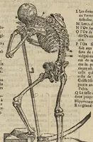 An illustration from L'Oeconomie chirurgicale, pour le r'habillement des os du corps humain contenant l'ostéologie, la nososreologie, l'apocatastosteologie, & le Traitté des bandages (1671)