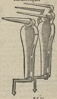 An illustration from Chirurgie françoise ... avec plusieurs figures des instrumens nécessaires pour l'opération manuelle (1610)