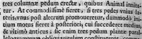 An illustration from De Motu animalium, Jo. Alphonsi Borelli,... opus posthumum. Pars prima (1680)