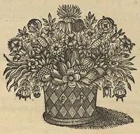 An illustration from Description anatomique d'un cameleon, d'un castor, d'un dromadaire, d'un ours, et d'une gazelle (1669)
