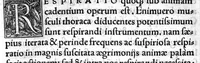 An illustration from Nemesii Philosophi clarissimi de Natura hominis liber utilisssimus. Georgio Valla placentino interprete (1538)
