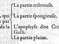 An illustration from Alphabet anatomic auquel est contenue l'explication exacte des parties du corps humain réduites en table selon l'ordre de dissection ordinaire. Avec l’osteologie et plusieurs observations particulieres, par Barthelemy Cabrol, anatomiste de l’Université de Montpelier, Chirurgien du Roy, et de Monseigneur le Duc de Montmorancy, (1594)