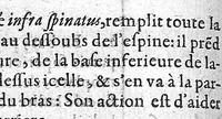 An illustration from Alphabet anatomic auquel est contenue l'explication exacte des parties du corps humain réduites en table selon l'ordre de dissection ordinaire. Avec l’osteologie et plusieurs observations particulieres, par Barthelemy Cabrol, anatomiste de l’Université de Montpelier, Chirurgien du Roy, et de Monseigneur le Duc de Montmorancy, (1594)