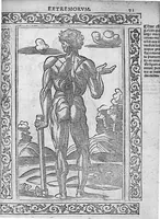 An illustration from Isagogae breves perlucidae ac uberrimae in anatomiam humani corporis a communi medicorum academia usitatam, a Carpo, in almo Bononiensi Gymnasio ordinariam chirurgiae docente, ad suorum scholasticorum preces in lucem datae (1523)