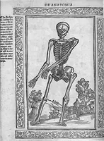 An illustration from Isagogae breves perlucidae ac uberrimae in anatomiam humani corporis a communi medicorum academia usitatam, a Carpo, in almo Bononiensi Gymnasio ordinariam chirurgiae docente, ad suorum scholasticorum preces in lucem datae (1523)
