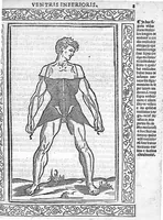 An illustration from Isagogae breves perlucidae ac uberrimae in anatomiam humani corporis a communi medicorum academia usitatam, a Carpo, in almo Bononiensi Gymnasio ordinariam chirurgiae docente, ad suorum scholasticorum preces in lucem datae (1523)