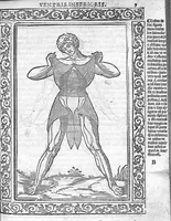 Picture 3 of 18 from Isagogae breves perlucidae ac uberrimae in anatomiam humani corporis a communi medicorum academia usitatam, a Carpo, in almo Bononiensi Gymnasio ordinariam chirurgiae docente, ad suorum scholasticorum preces in lucem datae (1523), leaf 16