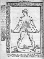 An illustration from Isagogae breves perlucidae ac uberrimae in anatomiam humani corporis a communi medicorum academia usitatam, a Carpo, in almo Bononiensi Gymnasio ordinariam chirurgiae docente, ad suorum scholasticorum preces in lucem datae (1523)