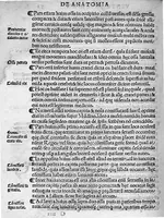 Picture 9 of 18 from Isagogae breves perlucidae ac uberrimae in anatomiam humani corporis a communi medicorum academia usitatam, a Carpo, in almo Bononiensi Gymnasio ordinariam chirurgiae docente, ad suorum scholasticorum preces in lucem datae (1523), leaf 95