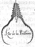 Picture 8 of 10 from Hippostologie, c'est à dire Discours des os du cheval, par M. Jehan Héroard, conseiller, médecin ordinaire et secrétaire du Roy (1599), leaf 37