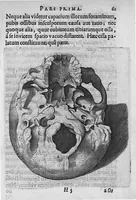 An illustration from Primitiae anatomicae. De humani corporis ossibus. (1633)