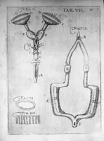 An illustration from Nicolai Stenonis Elementorum myologiae specimen, seu Musculi descriptio geometrica, cui accedunt canis carchariae dissectum caput et dissectus piscis ex canum genere... (1667)