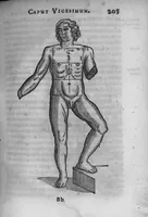 Picture 3 of 7 from Zootomia democritaea, id est anatome generalis totius animantium opificii : libris quinque distincta, quorum seriem sequens facies delineabit (1645), leaf 215