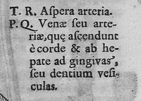 Picture 7 of 7 from Zootomia democritaea, id est anatome generalis totius animantium opificii : libris quinque distincta, quorum seriem sequens facies delineabit (1645), leaf 373