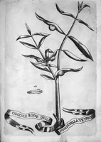 Picture 5 of 15 from Esperienze intorno alla generazione degli insetti fatte da Francesco Redi... e da lui scritte in una lettera all'illustrissimo signor Carlo Dati (1668), leaf 182
