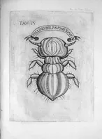 Picture 10 of 15 from Esperienze intorno alla generazione degli insetti fatte da Francesco Redi... e da lui scritte in una lettera all'illustrissimo signor Carlo Dati (1668), leaf 260