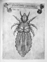 Picture 11 of 15 from Esperienze intorno alla generazione degli insetti fatte da Francesco Redi... e da lui scritte in una lettera all'illustrissimo signor Carlo Dati (1668), leaf 266