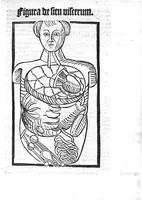 Picture 3 of 12 from Antropologium de hominis dignitate, natura, et proprietatibus; de elementis, partibus et membris humani corporis... (1501), leaf 122
