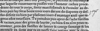 An illustration from Quatre livres de Puble Végèce Renay, de la Médecine des chevaux malades et autres vétérinaires aliénez et altérez de leur naturel, traduicts nouvellement de latin en françois (1563)