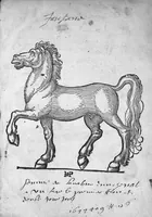 An illustration from Quatre livres de Puble Végèce Renay, de la Médecine des chevaux malades et autres vétérinaires aliénez et altérez de leur naturel, traduicts nouvellement de latin en françois (1563)