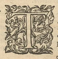 An illustration from Caspari Hofmanni Pro veritate opellae tres: I. Adrastea Galeni. II. Exercitationes juveniles contra Parisanum, aliosque. III. Ant-Argenterius. (1647)