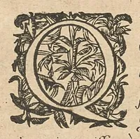 An illustration from Caspari Hofmanni Pro veritate opellae tres: I. Adrastea Galeni. II. Exercitationes juveniles contra Parisanum, aliosque. III. Ant-Argenterius. (1647)