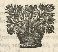 An illustration from Traicté pour la conservation de la santé et sur la saignee de ce temps, ...troisième édition... (1650)