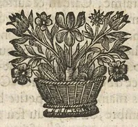 An illustration from Traicté pour la conservation de la santé et sur la saignee de ce temps, ...troisième édition... (1650)