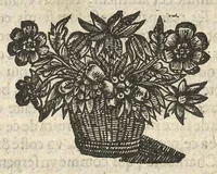 An illustration from Traicté pour la conservation de la santé et sur la saignee de ce temps, ...troisième édition... (1650)