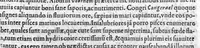 An illustration from De medicina Aegyptiorum libri quatuor & Iacobi Bontii in Indiis archiatri, de medicina Indorum (1646)