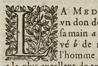 An illustration from Question cardinale...La Methode d'Hippocrate est-elle la plus certaine, la plus seure, & la plus excellente de toutes, à guarir les maladies ? avec des observations sur quelques points les plus notables (1648)
