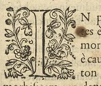 An illustration from Methodus in septem aphorismorum libros ab Hippocrate observata, omnibus tamen retro saeculis inaudita, jam primum mirabili schematon artificio demonstrata, a F. Fogerolaeo,... (1612)
