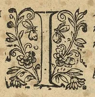 An illustration from Methodus in septem aphorismorum libros ab Hippocrate observata, omnibus tamen retro saeculis inaudita, jam primum mirabili schematon artificio demonstrata, a F. Fogerolaeo,... (1612)