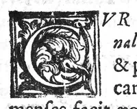An illustration from De Cognitu difficilibus In Praxi ex libris Avenzoaris per sententias dilucidatas (1628)