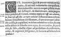 An illustration from De Cognitu difficilibus In Praxi ex libris Avenzoaris per sententias dilucidatas (1628)