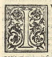 An illustration from Ad incolumitatem diu servandam diagoge authore Ioanne Stephano iatrophysico veneto et cenetae nobili cive ad excellentissimum senatorem Petrum Foscarenum (1639)