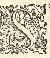 An illustration from Ad incolumitatem diu servandam diagoge authore Ioanne Stephano iatrophysico veneto et cenetae nobili cive ad excellentissimum senatorem Petrum Foscarenum (1639)