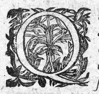 An illustration from Ioannis Martini Doctoris medici Parisiensis, professoris Regii, et Mariae Medicae Christianissimae Reginae Archiatri, Commentarius in librum Hippocratis de aere, aquis et locis (1660)