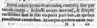 An illustration from Hippocratis Coi Medicorum principis Liber de Locis in Homine commentariis illustratus a Francisco Perla Calviensi (1638)