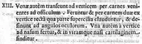 An illustration from Hippocratis Coi Medicorum principis Liber de Locis in Homine commentariis illustratus a Francisco Perla Calviensi (1638)