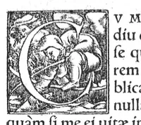 An illustration from Commentarii in sex Galeni libros de Morbis et Syptomatis, Francisco Valleriola Medico auctore (1540)