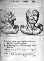 Picture 16 of 20 from Petri Paaw Amsteldamensis Succenturiatus Anatomicus. continens Commentaria in Hippocratem, de Capitis Vulneribus. additae In aliquot Capita libri VIII C. Celsi Explicationes. Ad illustres, Nobiles, Praepotentes, ac verè Magnifices Hollandiae Westfrisiaeque Ordines. (1616), leaf 124