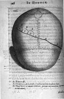 Picture 18 of 20 from Petri Paaw Amsteldamensis Succenturiatus Anatomicus. continens Commentaria in Hippocratem, de Capitis Vulneribus. additae In aliquot Capita libri VIII C. Celsi Explicationes. Ad illustres, Nobiles, Praepotentes, ac verè Magnifices Hollandiae Westfrisiaeque Ordines. (1616), leaf 135