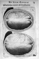 Picture 3 of 20 from Petri Paaw Amsteldamensis Succenturiatus Anatomicus. continens Commentaria in Hippocratem, de Capitis Vulneribus. additae In aliquot Capita libri VIII C. Celsi Explicationes. Ad illustres, Nobiles, Praepotentes, ac verè Magnifices Hollandiae Westfrisiaeque Ordines. (1616), leaf 22
