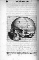 An illustration from Petri Paaw Amsteldamensis Succenturiatus Anatomicus. continens Commentaria in Hippocratem, de Capitis Vulneribus. additae In aliquot Capita libri VIII C. Celsi Explicationes. Ad illustres, Nobiles, Praepotentes, ac verè Magnifices Hollandiae Westfrisiaeque Ordines. (1616)