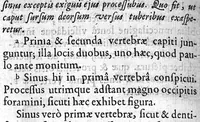 An illustration from A. Cornelii Celsi de Re Medica liber octavus. ejus priora quatuor Capita Commentariis illustrata a Petro Paaw (1616)
