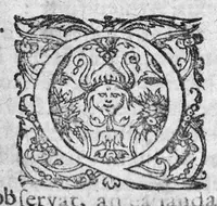 An illustration from Labyrinthi medici extricati, sive methodus vitandorum errorum qui in praxi occurrunt... Additus est ejusdem Septalii Tractatus De naevis (1687)