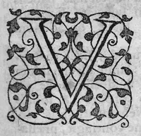 An illustration from Labyrinthi medici extricati, sive methodus vitandorum errorum qui in praxi occurrunt... Additus est ejusdem Septalii Tractatus De naevis (1687)